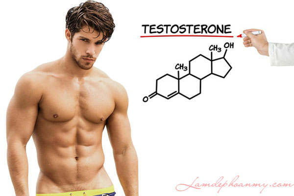 testosterone là gì