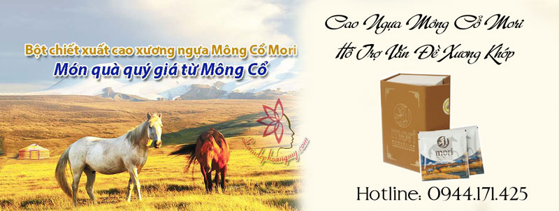 Ưu điểm Cao Ngựa Mông Cổ Mori