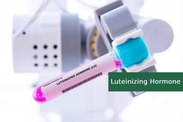 Vai trò của Luteinizing hormone đối với sức khỏe sinh lý nam